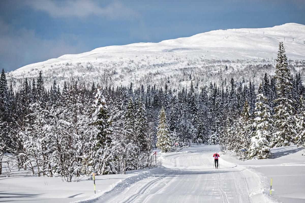 Koeja Fjaellhotell Edsasdalen ภายนอก รูปภาพ