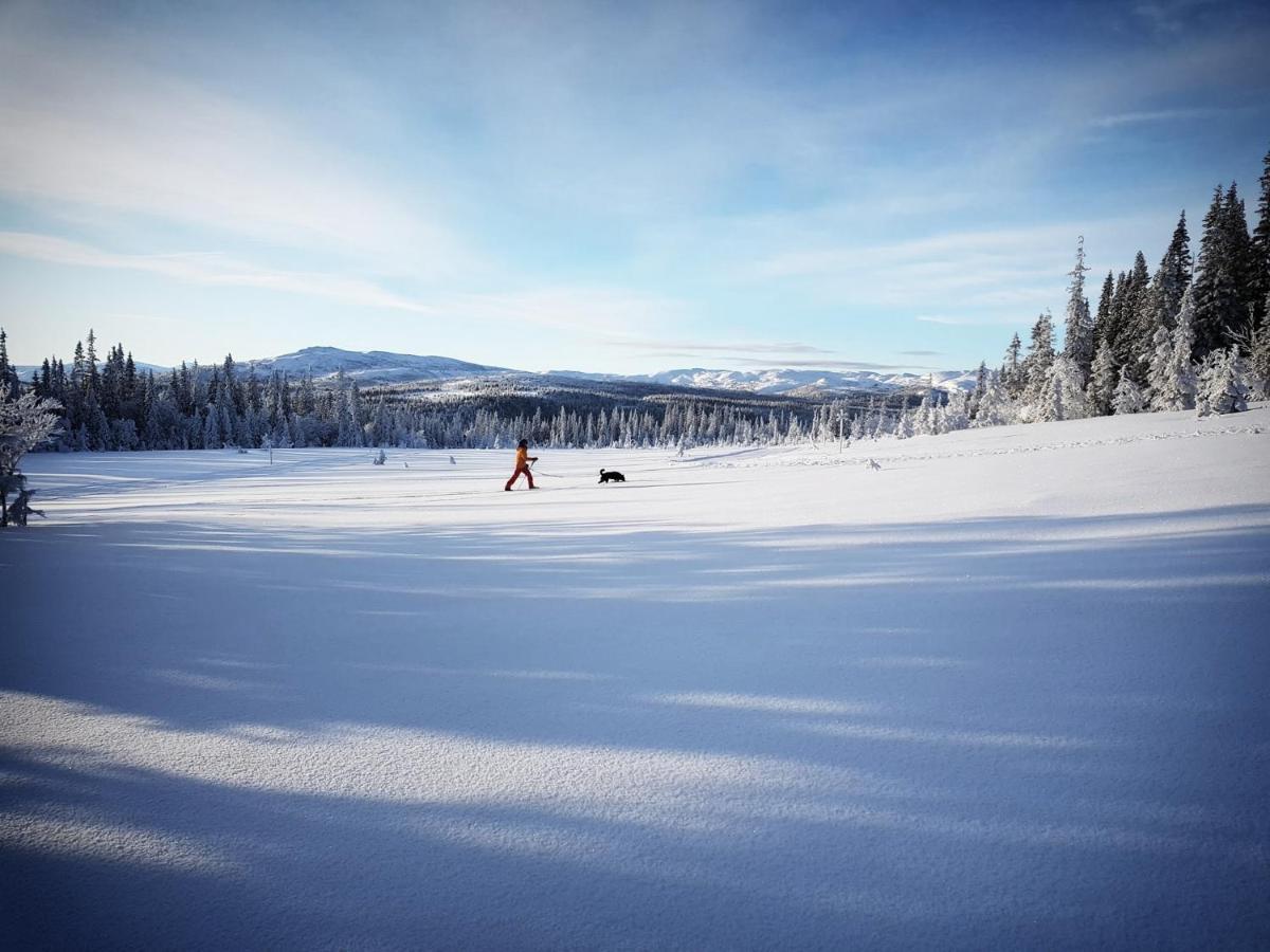Koeja Fjaellhotell Edsasdalen ภายนอก รูปภาพ