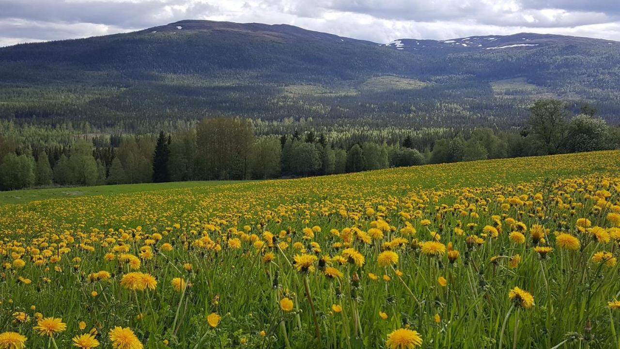 Koeja Fjaellhotell Edsasdalen ภายนอก รูปภาพ