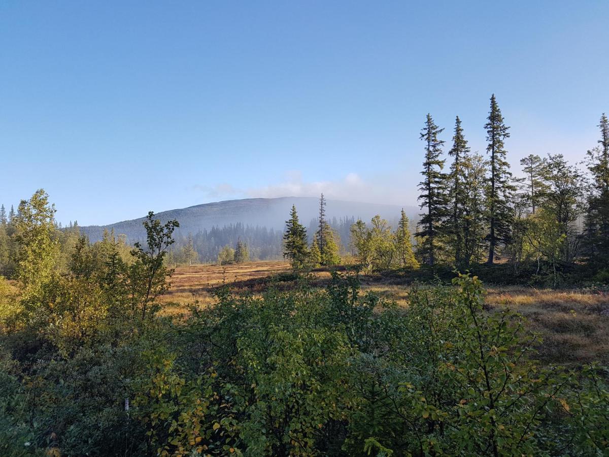 Koeja Fjaellhotell Edsasdalen ภายนอก รูปภาพ