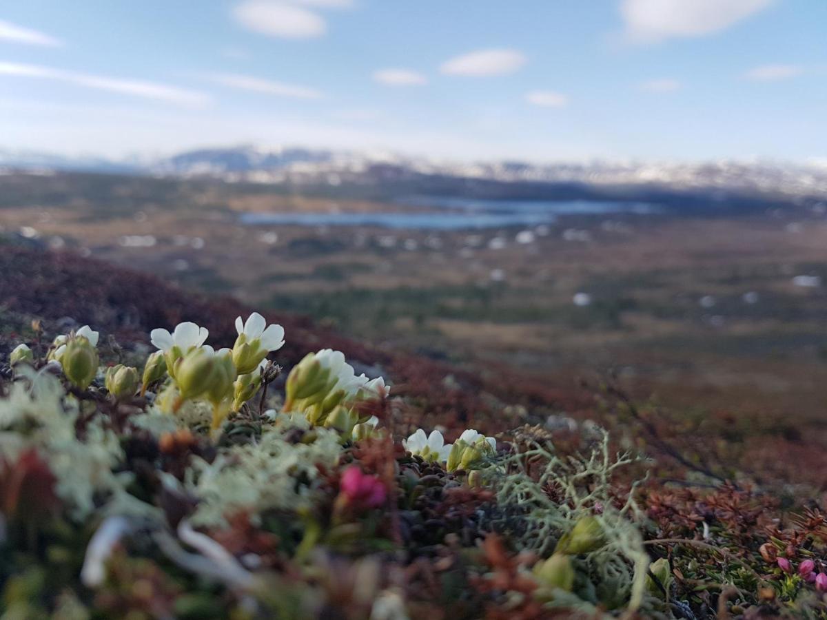 Koeja Fjaellhotell Edsasdalen ภายนอก รูปภาพ