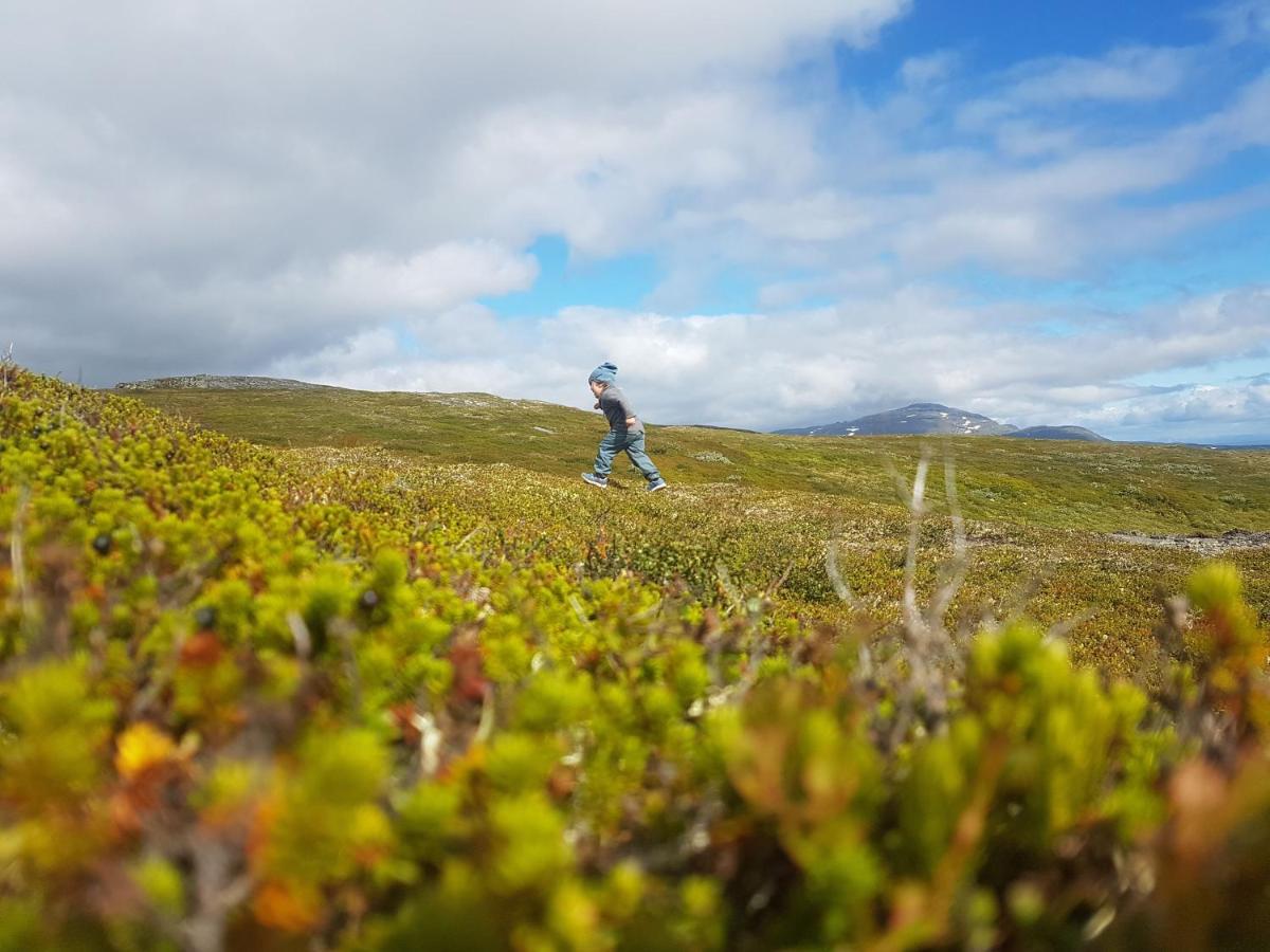 Koeja Fjaellhotell Edsasdalen ภายนอก รูปภาพ